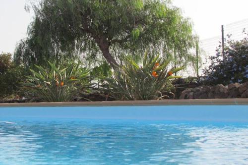 Heated & Shared Pool VILLA MATRIANA 36B, North Shore Villas