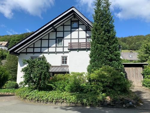 Ferienhaus Landhaus am Bach Winterberg