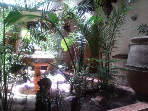 Facilities, Riad Arambys in Essaouira