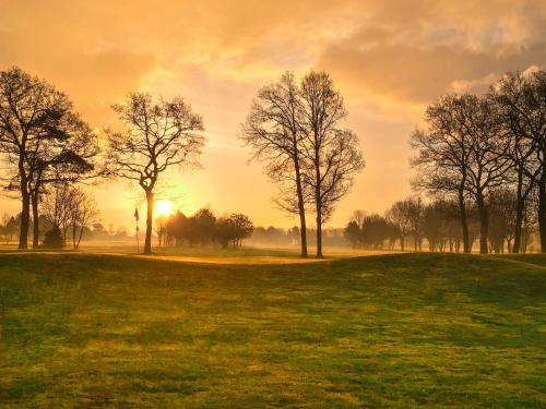 . FeWo-GOLFBLICK direkt auf dem Golfplatz