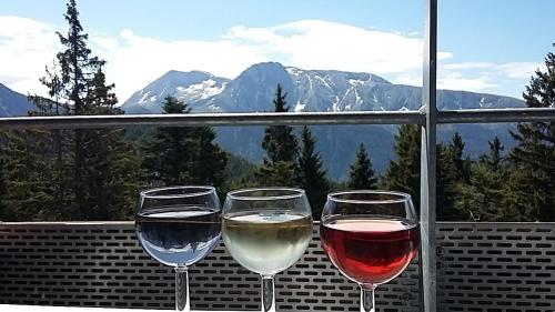 Chamrousse 1700 - Les Villages du Bachat - Silènes C32 - Classé 3 étoiles- Vue sur les montagnes -, Chamrousse (Foto 3)