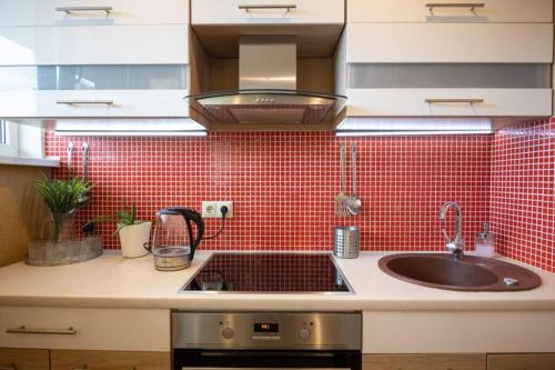 Beautiful & spacious apartment in Valmiera, Valmiera (fotografie 7)