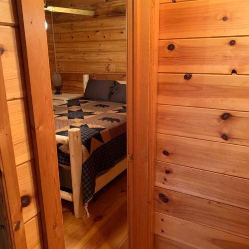 Mountain Time Cabin Hot tub Fire Pit Fireplace - image 12