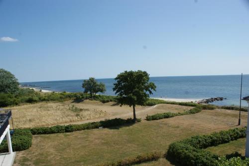 Fehmarn-OstseeferienPenthouse Vogelflug 14314