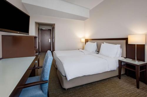 Radisson Blu Ankara - image 10