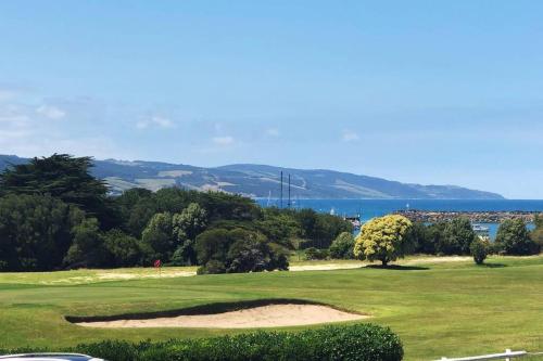 Apollo Blue Pearl ~ Oceanfront ~ Free Wifi