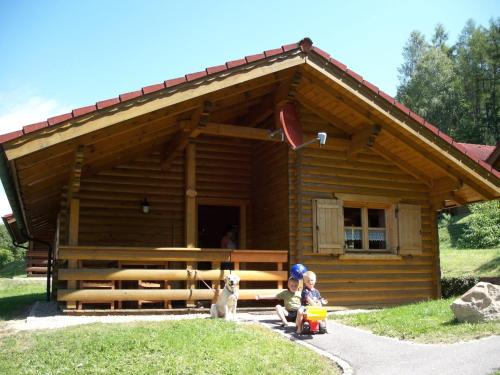 B&B Stamsried - Blockhaus Hedwig Haus 10 - Bed and Breakfast Stamsried