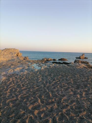 On the beach