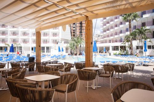 Ambassador Playa II - image 6