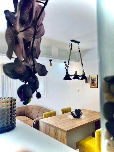 Apartman Živanović (Apartman Zivanovic) in วาลเจโว