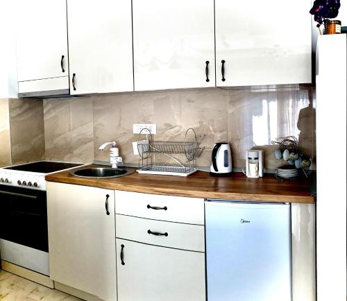Apartman Živanović (Apartman Zivanovic) in วาลเจโว