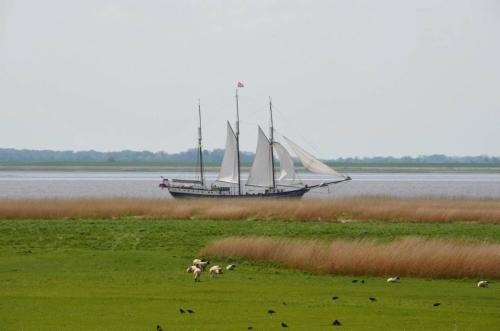 . Auszeit am Elbdeich in Sankt Margarethen