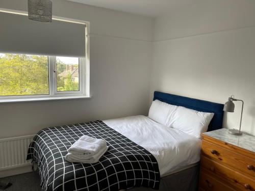 Golden Triangle House - image 7