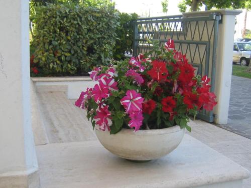 Hotel Miramare - image 9
