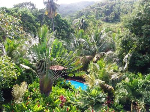 Bungalow charmant à Pointe-Noire