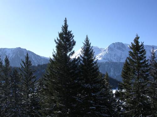 Chamrousse 1700 - Les Villages du Bachat - Silènes C32 - Classé 3 étoiles- Vue sur les montagnes -, Chamrousse (Foto 10)