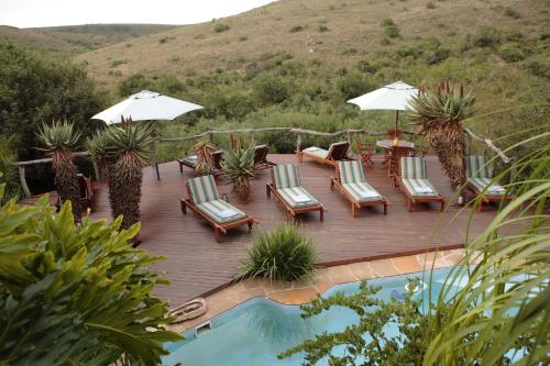 Swimming pool, Lalibela Game Reserve Lentaba Safari Lodge in Sidbury