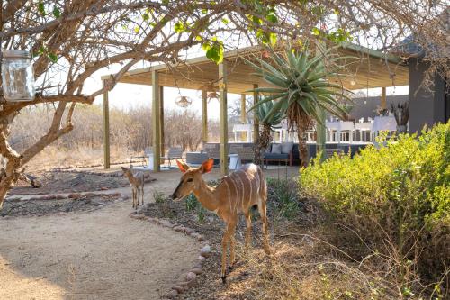 Unembeza Boutique Lodge & Spa