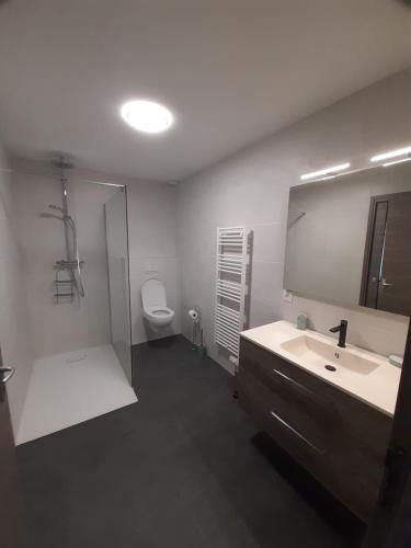 Salle de bain, gite de La Carrière (gite de La Carriere) in Laguiole
