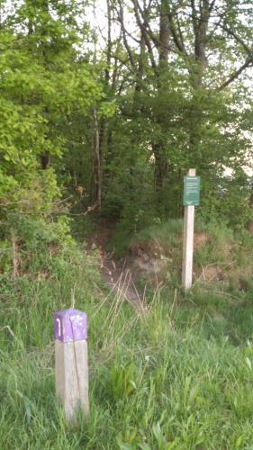 Stal Zwartschaap - image 5