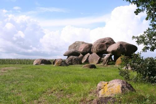 Stal Zwartschaap - image 13