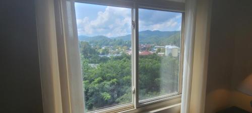 Gatlinburg Chateau Condo 301 - image 8