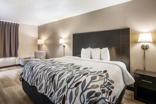 1 king bed