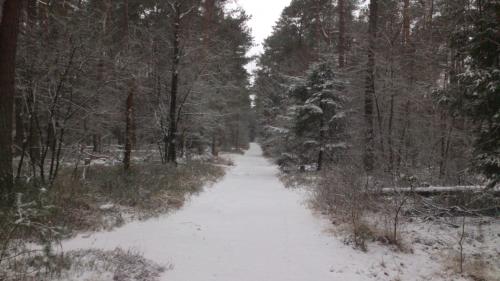 Stal Zwartschaap - main image