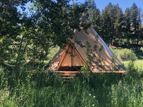 Bodhi Farms, Bozeman