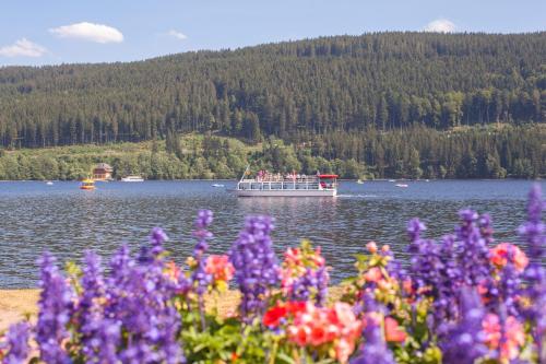 Drei Tannen - Wohnung 05 - Apartmenthaus, Titisee, nahe Badeparadies