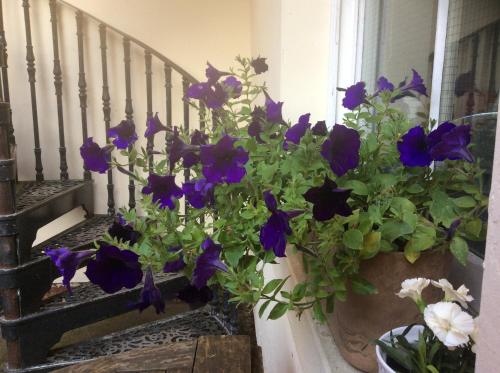 Highgate, Beverley/Hull in เบเวอร์รี่