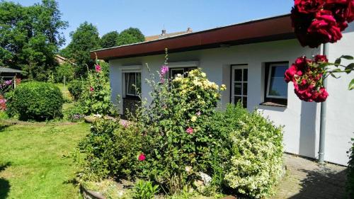 B&B Landkirchen - Hus Kalli - Bed and Breakfast Landkirchen