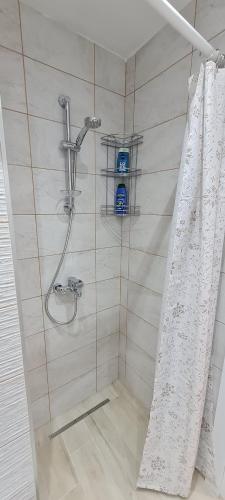 OLIVERA APARTMENT - image 3