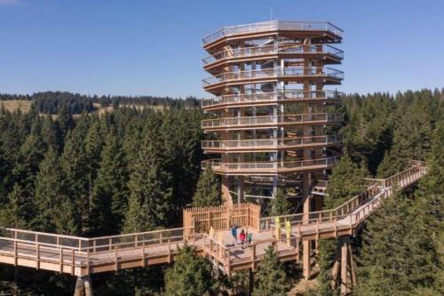 Am Dàntzwaj (Am Dantzwaj) in Lembach