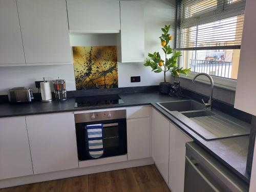 Holyrood New Apartment, Edinburgh (fotografie 6)