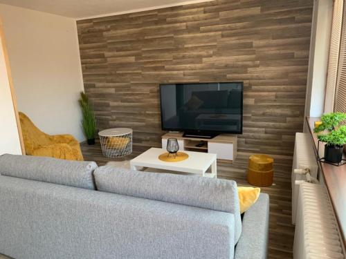 Ubytování u koupaliště - Apartment - Velké Mezirící