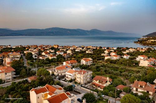 Two Olive Trees - Deluxe Apartments