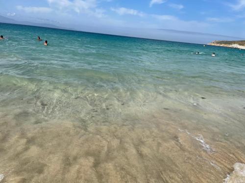 Beach, Lilac Gardens Resort in Cabo Negro