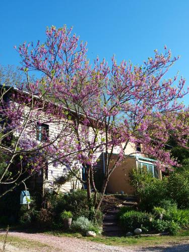 Gîte Au Jardin