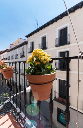 Cálamo Guesthouse - image 13