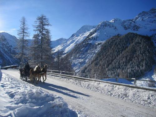 Hotel-Pension Waldeck - Todtmoos