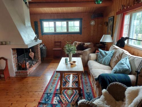 Charming cabin in Hemsedal - Apartment