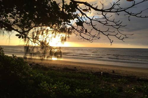 Daintree Beach Studio - BEACH FRONT ACCOMMODATION