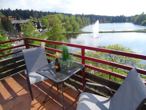 App Sweet Harz Haus am See -Panoramablick - Apartment - Hahnenklee-Bockswiese