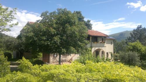 Casale degli ulivi - Serre Parrano