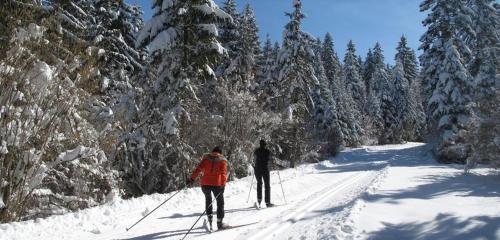 . Duplex lumineux haut Jura