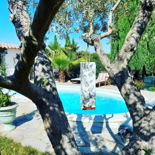 Cocon Provençal - T1 25m2 - SdB - Terrasse privée & Accès Piscine à Saint Chamas - Accommodation - Saint-Chamas