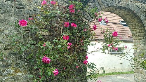 L'Hospitalière gîte à louer Créot