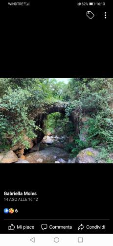 Stellaria casa vacanze in montagna panorama stupendo Sardegna