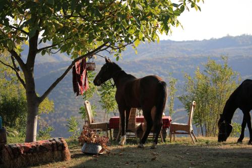 Lost Ridge Inn, Brewery & Ranch